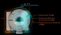 High V-MRI Siemens (2).jpg